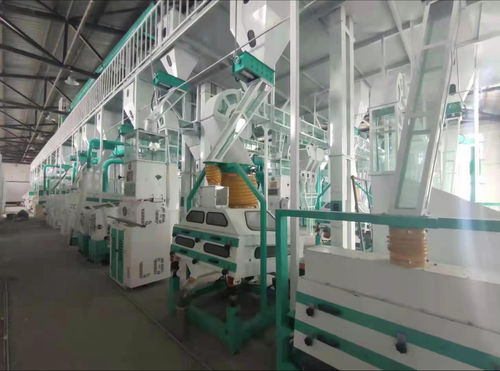 實拍大型全自動水稻加工大米設備及其價格分析